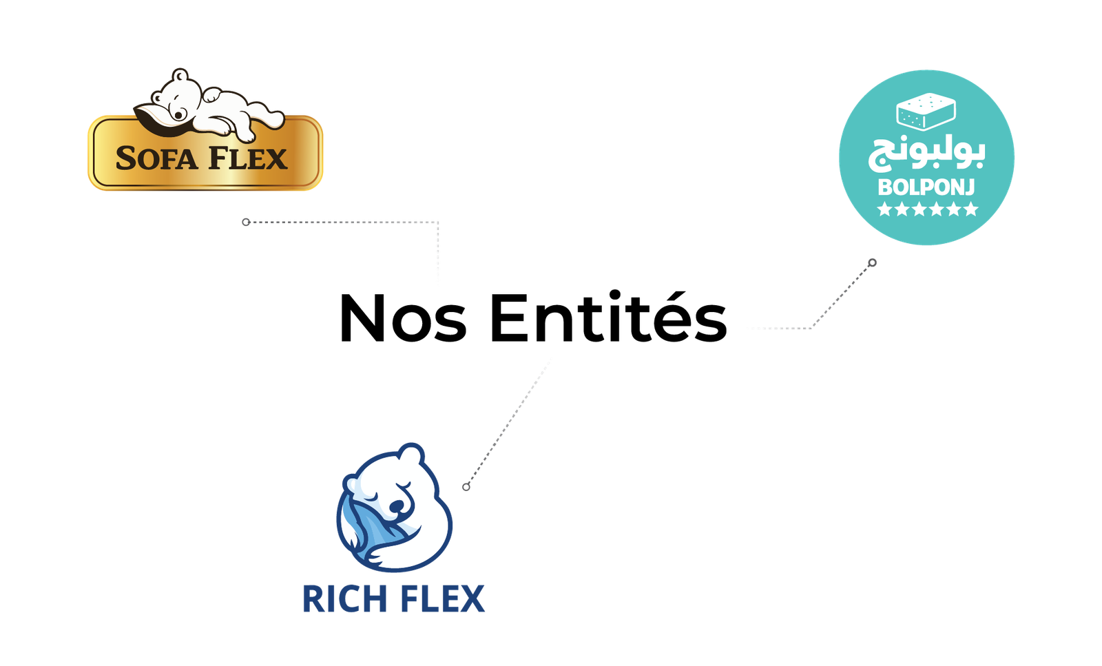 Nos entités BOLPONJ : Sofa Flex, BOLPONJ et Rich Flex